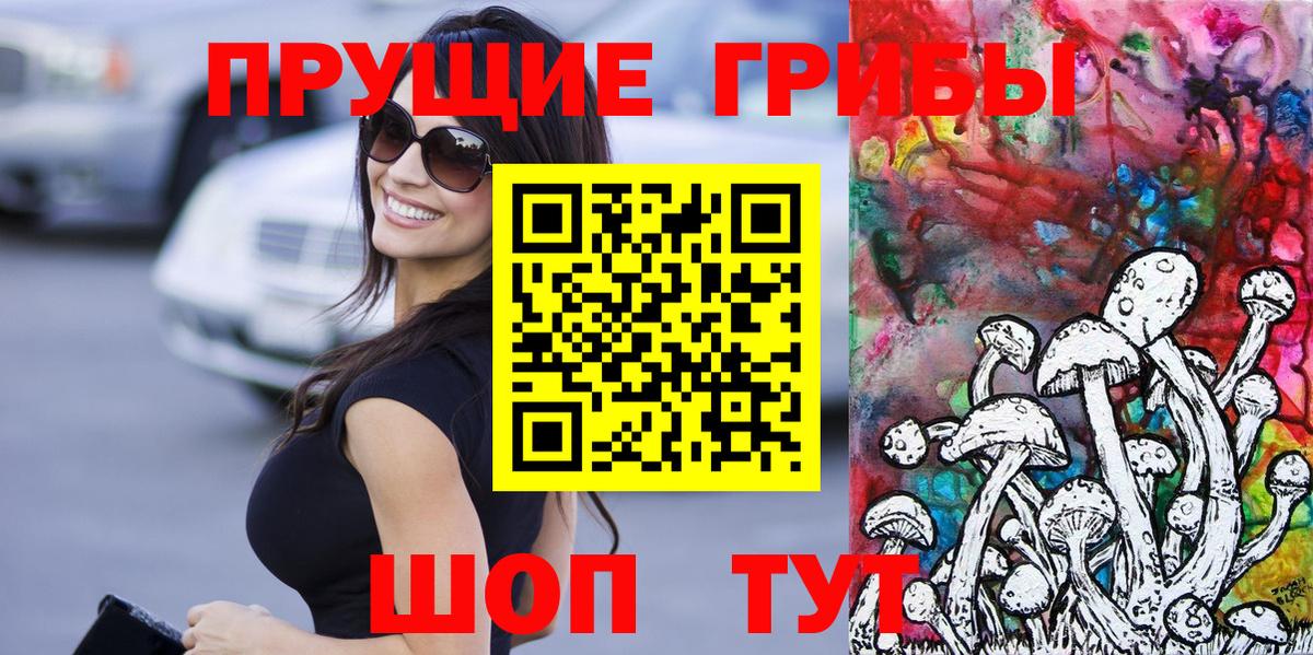 Псилоцибиновые грибы Psilocybine cubensis  Вход с VPN  Рассказово 