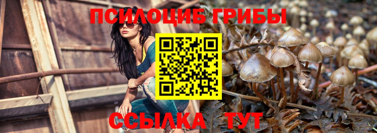 Галлюциногенные грибы GOLDEN TEACHER Рассказово